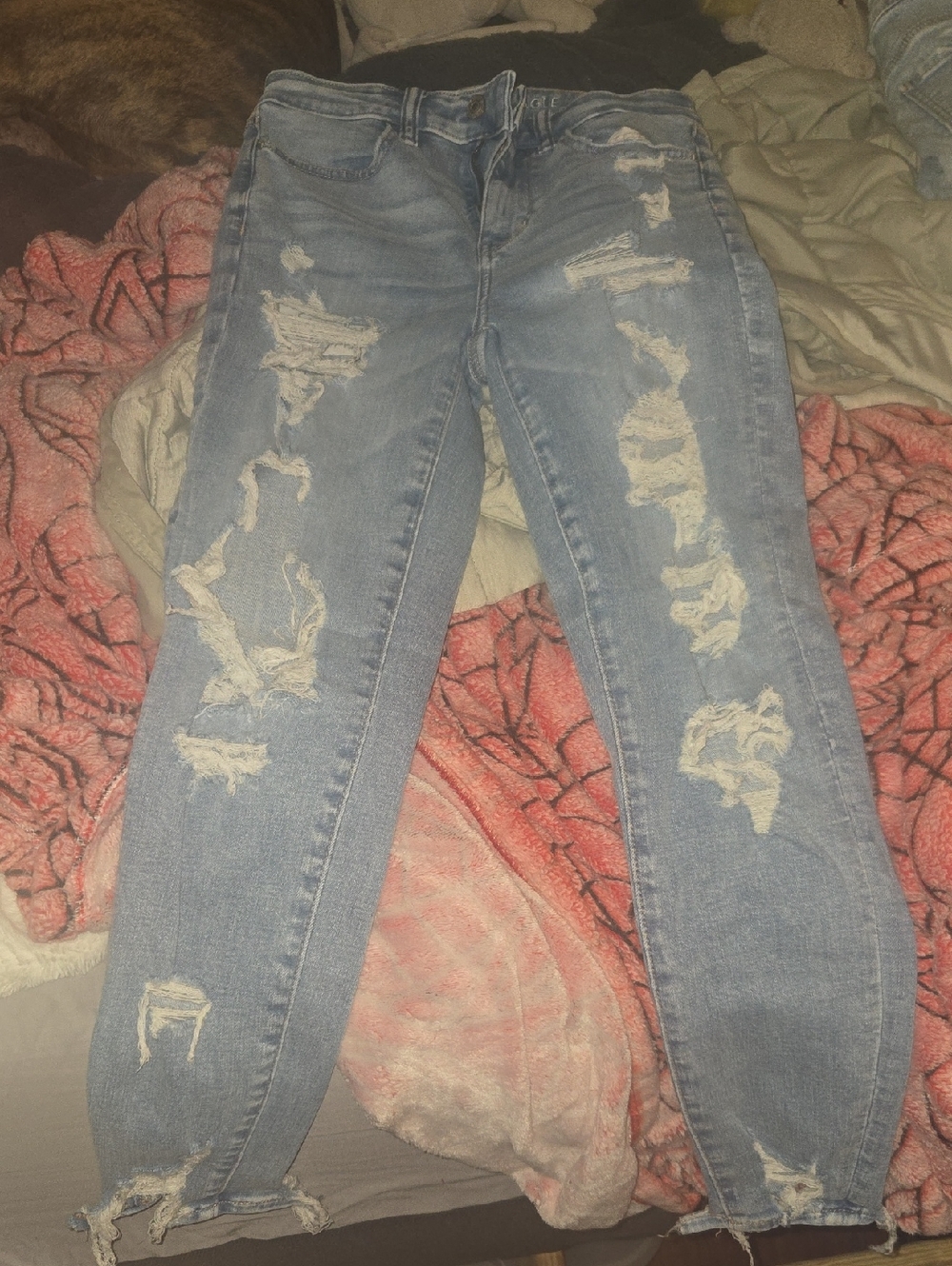 American Eagle Outfitters Light Blue Ripped Skinny Jeans
